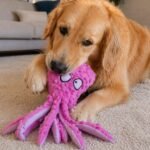 Octopus Dog Plush Toy | Squeaky Plush Dog Toy | Interactive Puppy Toy | Soft Dog Chew Toy | Cute Pet Toy Gift | Unbreakable Octopus Dog Toy