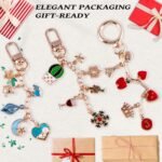 325PCS Lip Gloss Keychain Making Kit | DIY Charm Set with Clips Chains Charms & Pliers - Image 6
