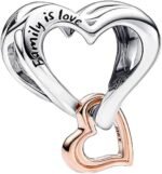10PCS Silver Charms for Bracelets & Necklaces | Pendant Beads Set for Women Jewelry Making - Image 3