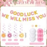 Daisy Farewell Party Decorations | Good Luck We Will Miss You Banner | Coworker Going Away Party Kit | Pink Retirement Decor - Image 4