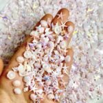 3D Ocean Nail Charms: Starfish, Shells, Sea Life – Summer Nail Art Supplies