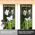 36PCS Bird Strike Window Decals Butterfly Feather Leaf Suncatcher Clings for Glass Windows - Image 2