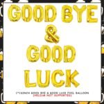 Farewell Party Decoration | Goodbye & Good Luck Balloon Banner | Going Away Party Decor | Retirement Celebration Balloons | We Will Miss You - Image 6