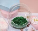 Grass Green Glass Bugle Beads | 2x6MM Mini Long Tube Seed Beads (1100PCS)
